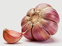 Aglio rosso testa e spicchio Aglio rosso testa e spicchio
