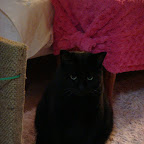 20120701-0707_知人宅