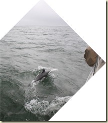 sandyIMG_1499 sandyIMG_1499