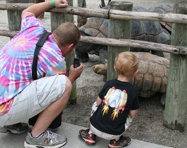 IMG_4789 IMG_4789