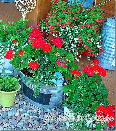 home 024 home 024