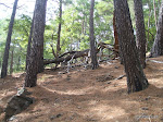 DSCF3629.jpg