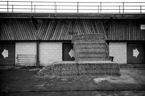 Newark-Livestock-Market
