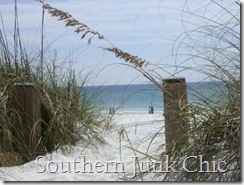 Beach baby house view