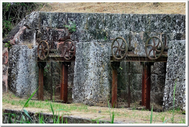 DSC_0771 DSC_0771