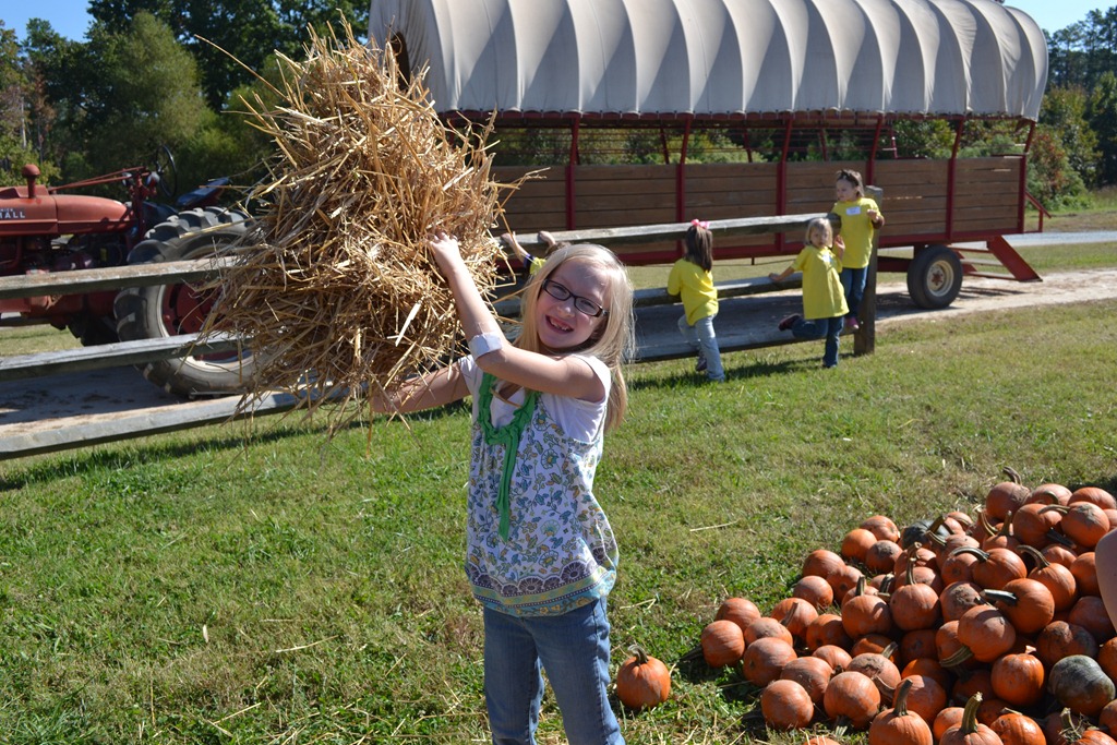 [DSC_0017%255B3%255D.jpg]