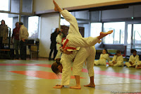 IMG_1193.jpg