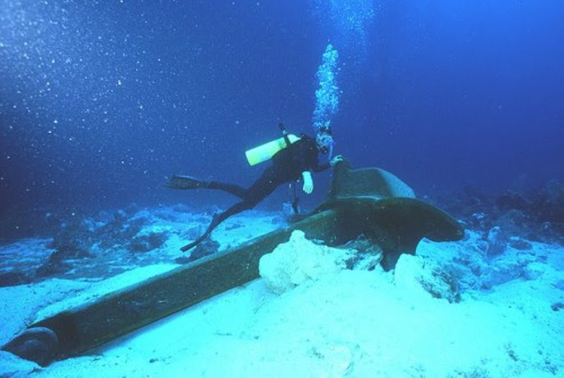 Internet Undersea World