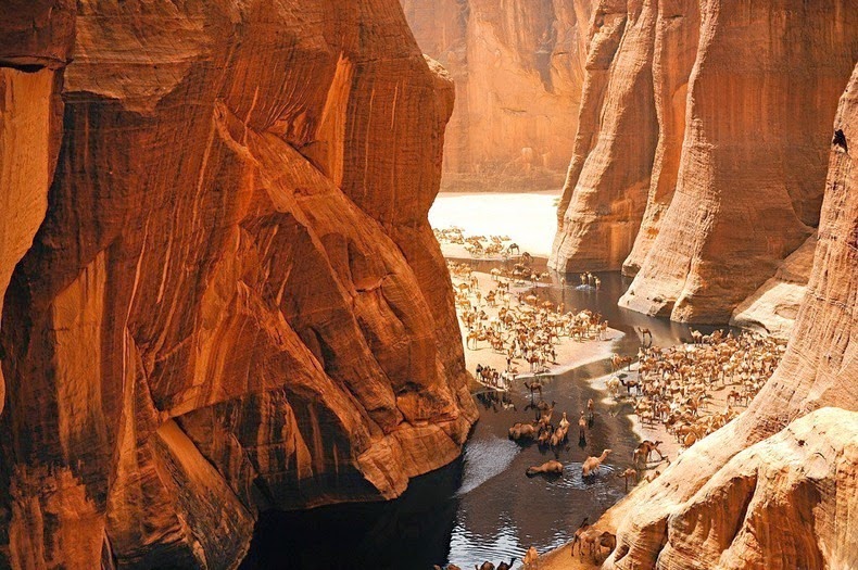 guelta-archei-2