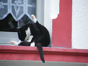 DSCF7955.JPG