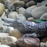Sydney Wildlife Park