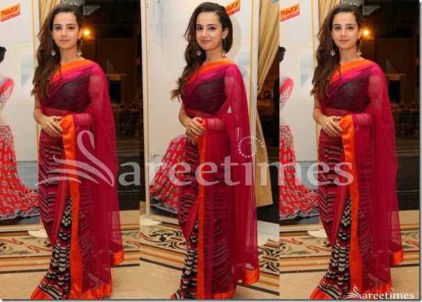 Designer_Half_and_Half_Saree Designer_Half_and_Half_Saree