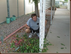 IMG_4100 IMG_4100