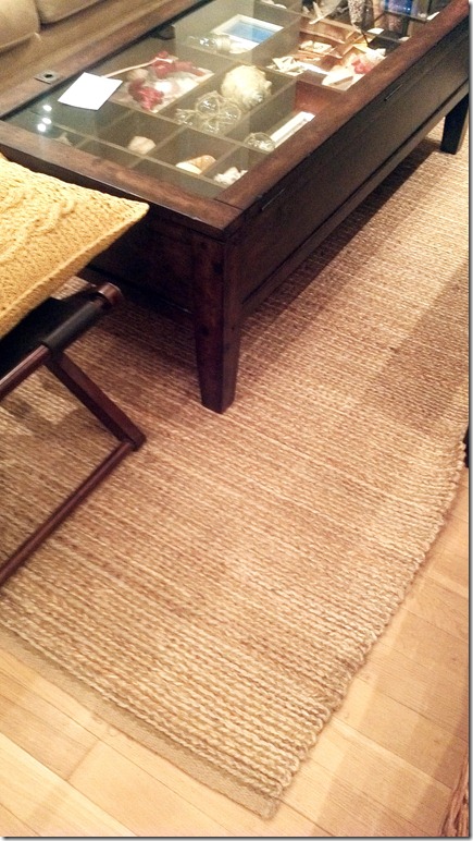 Our Living Room: Choosing an Area Rug