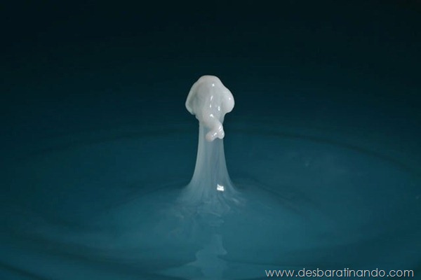 liquid-drop-art-gotas-caindo-foto-velocidade-hora-certa-desbaratinando (112) liquid-drop-art-gotas-caindo-foto-velocidade-hora-certa-desbaratinando (112)