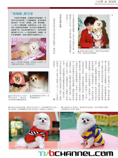 張景淳 獨愛松鼠狗