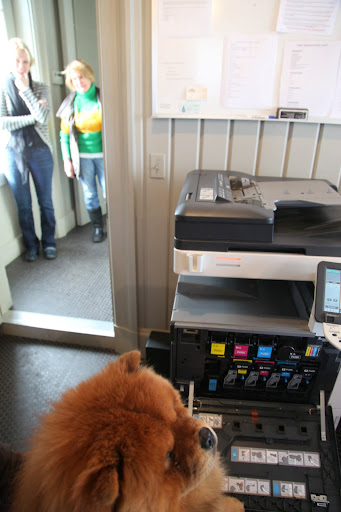 Alright ladies - I think I can help you with your copier machine.  I know a little bit about these issues.  I'll troubleshoot your problem, so just sit back and relax!