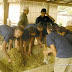 Community Livestock Assistant Training-2.jpg