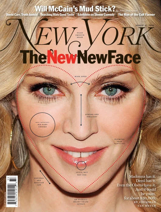 [new-york-magazine-cover-madonna%255B7%255D.jpg]