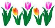 [tulips2%255B2%255D.jpg]