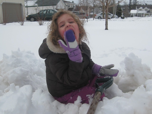 IMG_8053-crop IMG_8053-crop