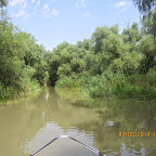 IMG_5786.JPG