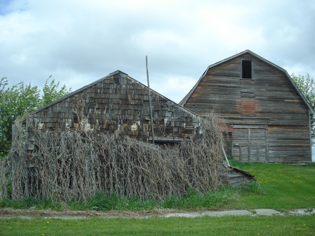 [DSC07490%255B1%255D.jpg]