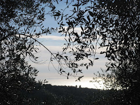 Italy property sale in Liguria, Imperia