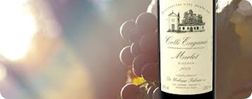 bagnoli merlot bagnoli merlot