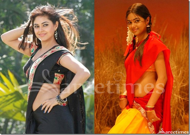 Meera_Chopra_Sarees
