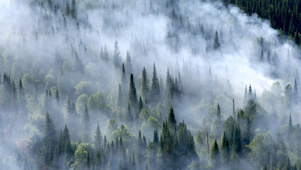 Aerial view of smoke billowing over forest in Siberia, 3 August 2012. Alexandr Kryazhev / RIA Novosti