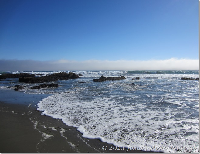 Estero Bluffs State Park Estero Bluffs State Park