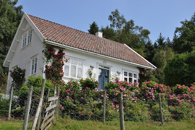 [Sommeren%25202010%2520361%255B5%255D.jpg]