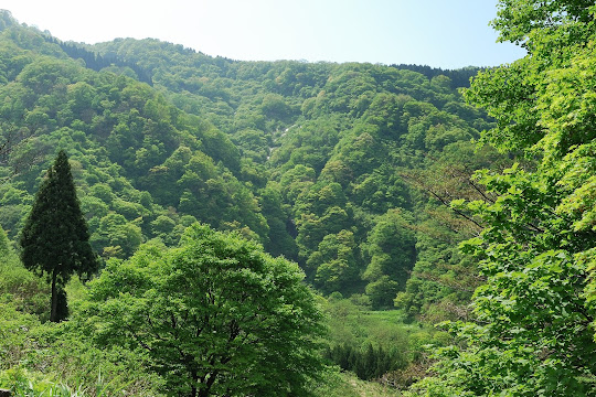 四十ヶ滝