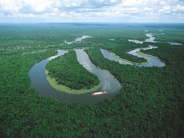 [beautiful-amazon-rain-forest-17%255B2%255D.jpg]