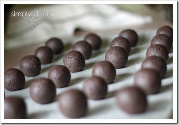 chocolate balls