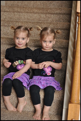 DSC_0915 DSC_0915