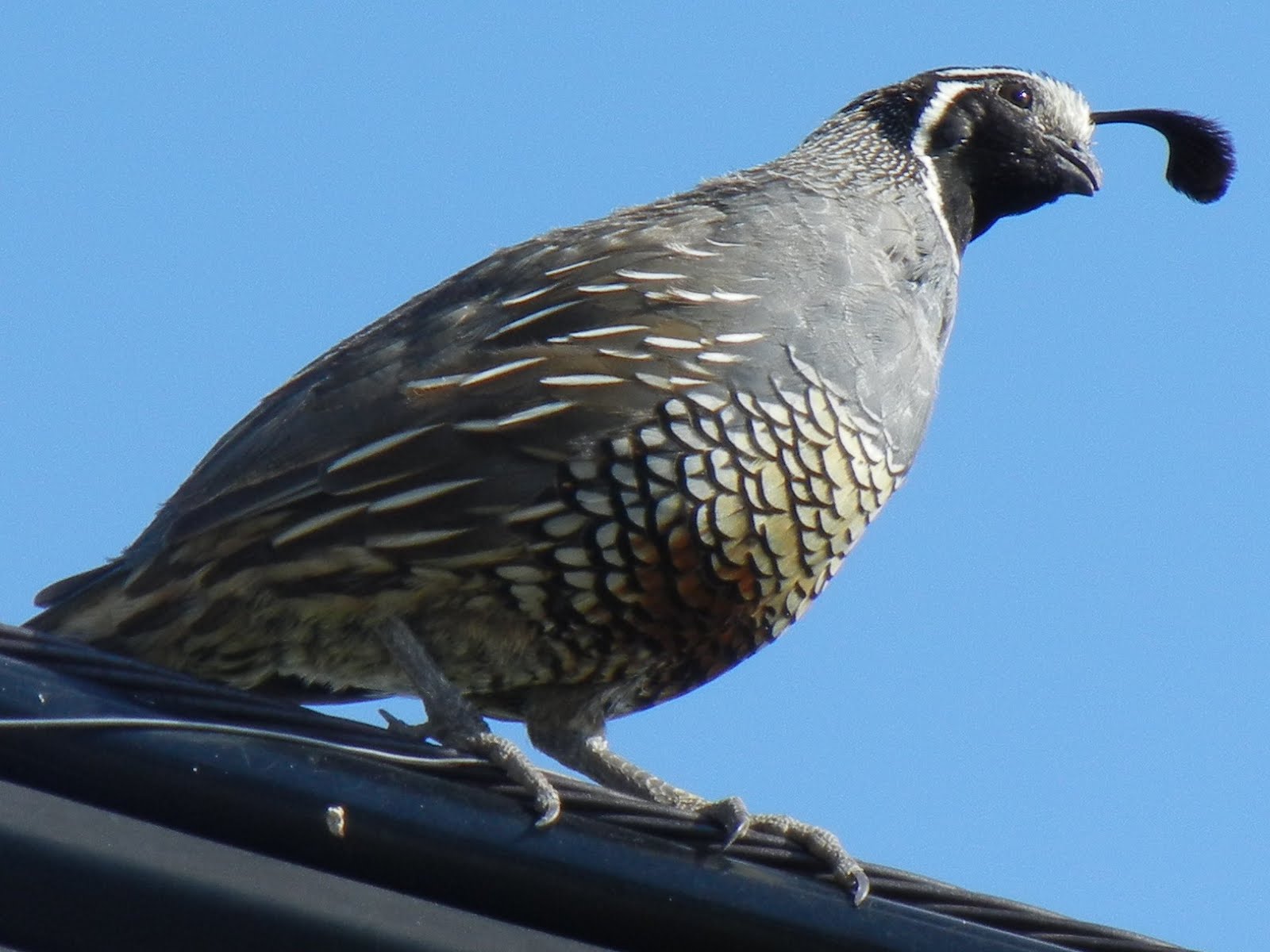 [DSCN2289%255B4%255D.jpg]