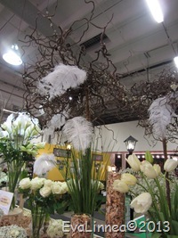 IMG_5072 IMG_5072