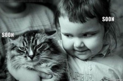 soon-cat-baby_large.jpg Soon cat baby large