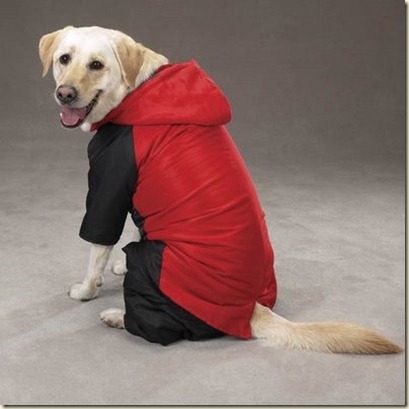 abrigo para perros