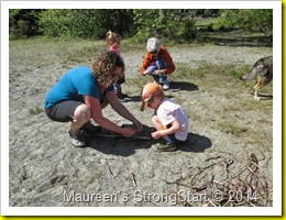 IMG_3207 IMG_3207
