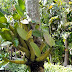 (48).jpg