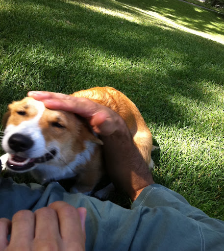 And played well with humans and canines alike!