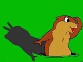 Groundhog Groundhog