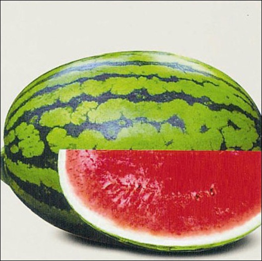 New-S101-Water-Melon-Seed-Hybrid-F1-