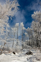 IMG_7436.jpg Photo