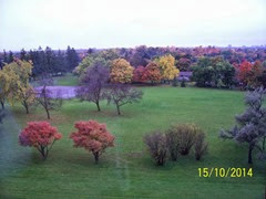 View from Bedroom