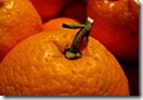 orange orange