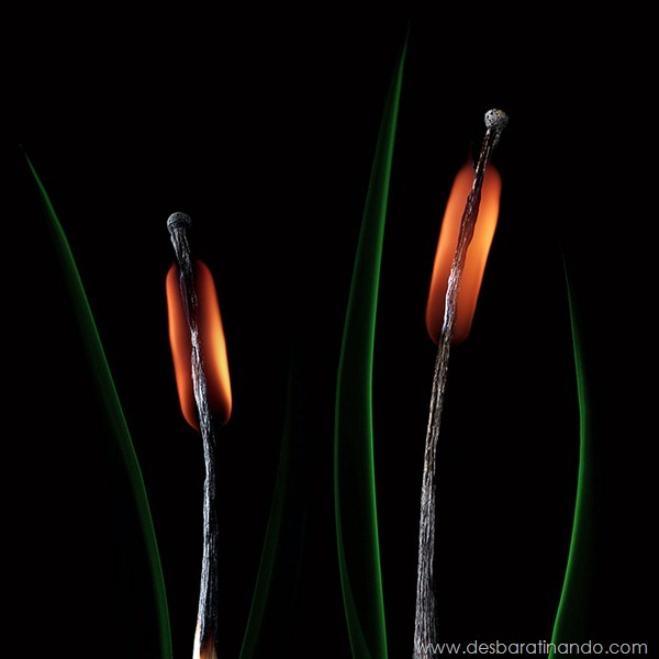 matchstick-art-stanislav-aristov-fosforos-fogo-arte-desbaratinando (10)